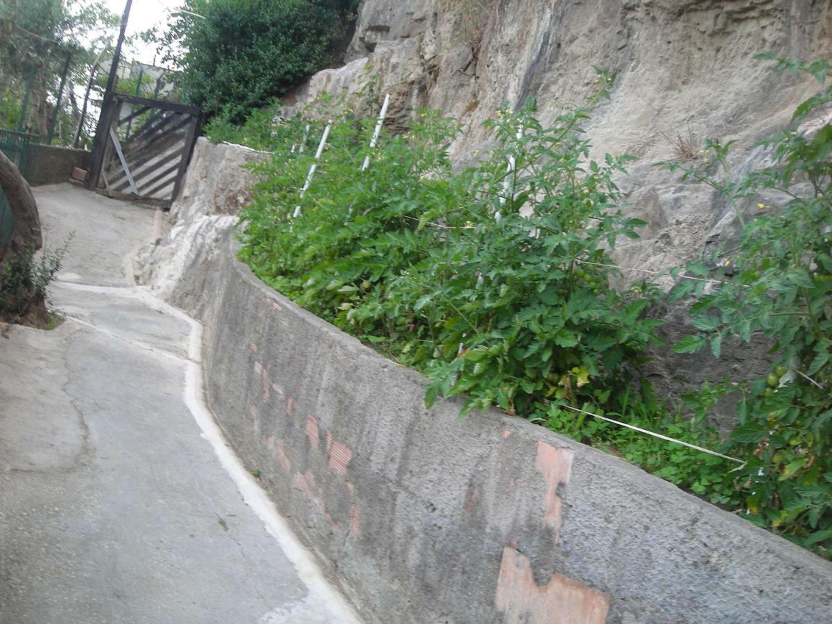 B&B L'Arcobaleno Sorrento Ngoại thất bức ảnh