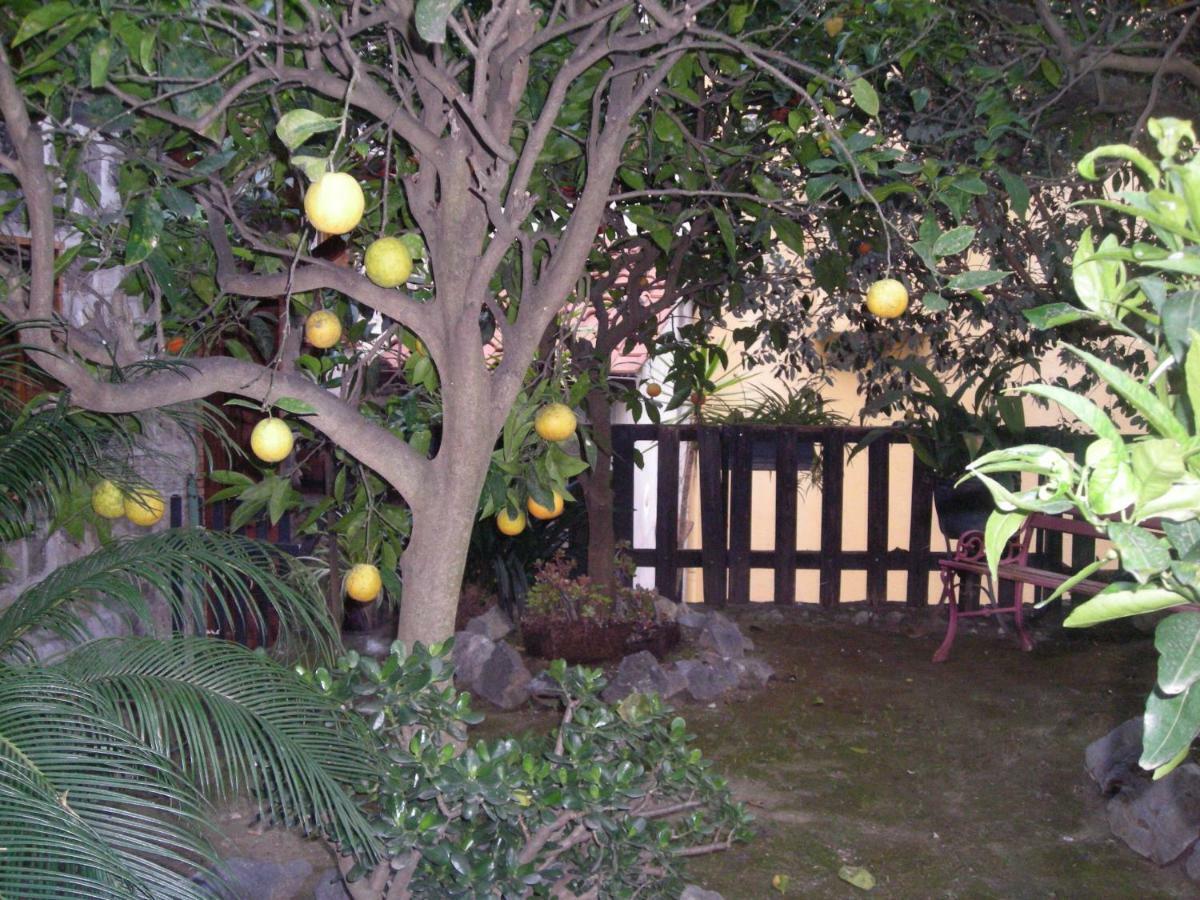 B&B L'Arcobaleno Sorrento Ngoại thất bức ảnh