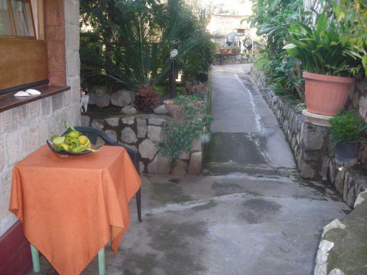 B&B L'Arcobaleno Sorrento Ngoại thất bức ảnh