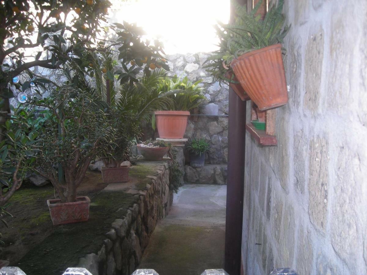 B&B L'Arcobaleno Sorrento Ngoại thất bức ảnh