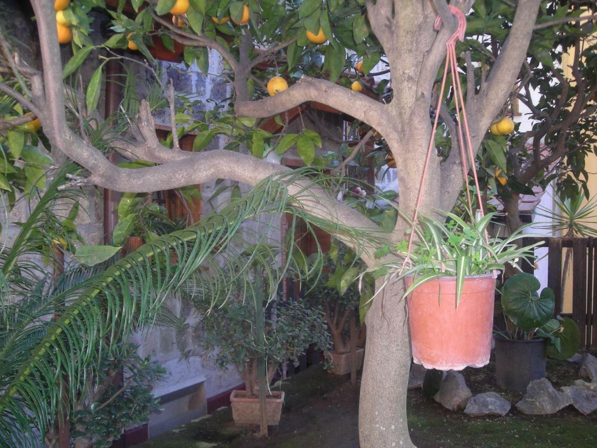 B&B L'Arcobaleno Sorrento Ngoại thất bức ảnh