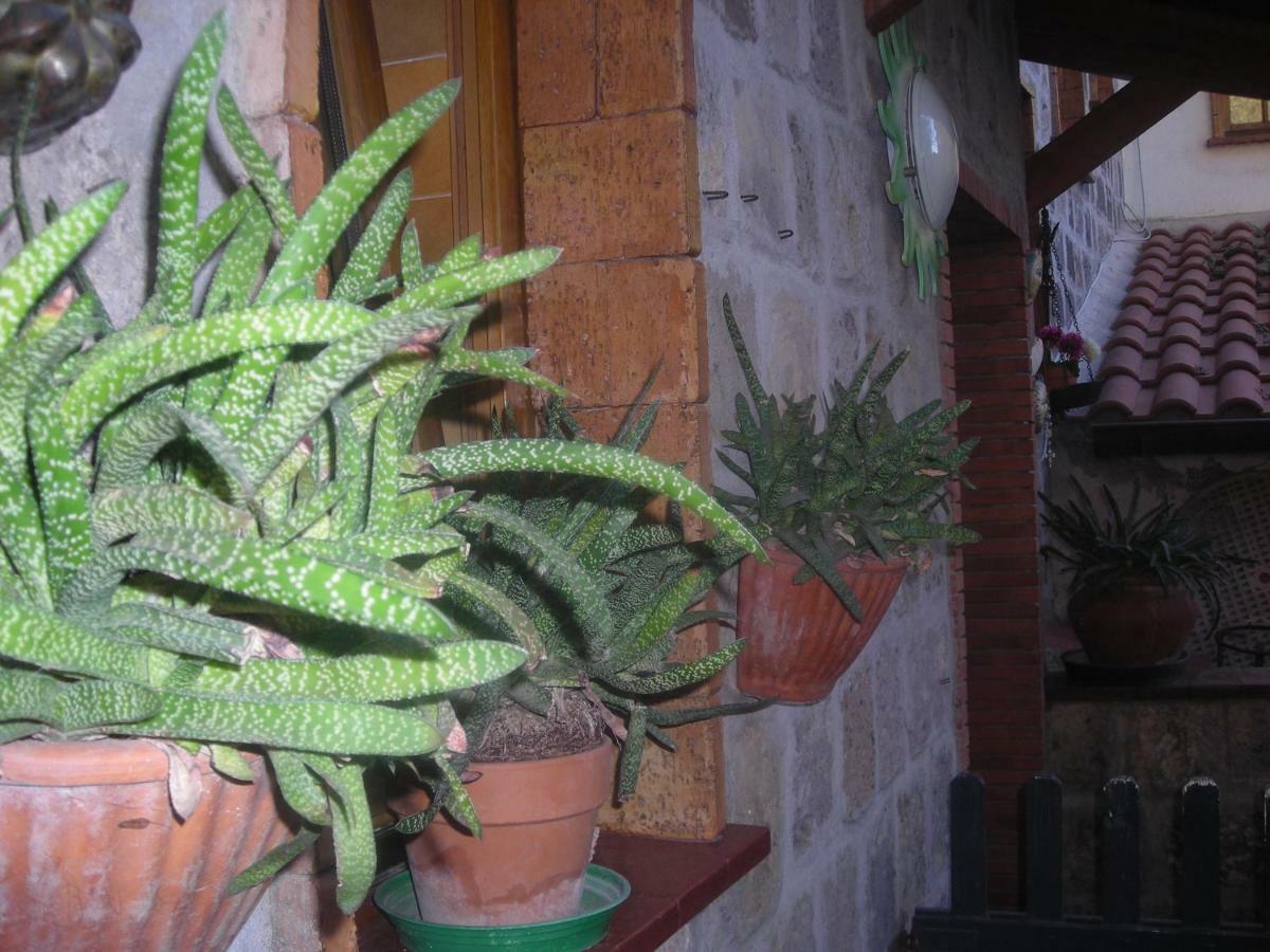 B&B L'Arcobaleno Sorrento Ngoại thất bức ảnh