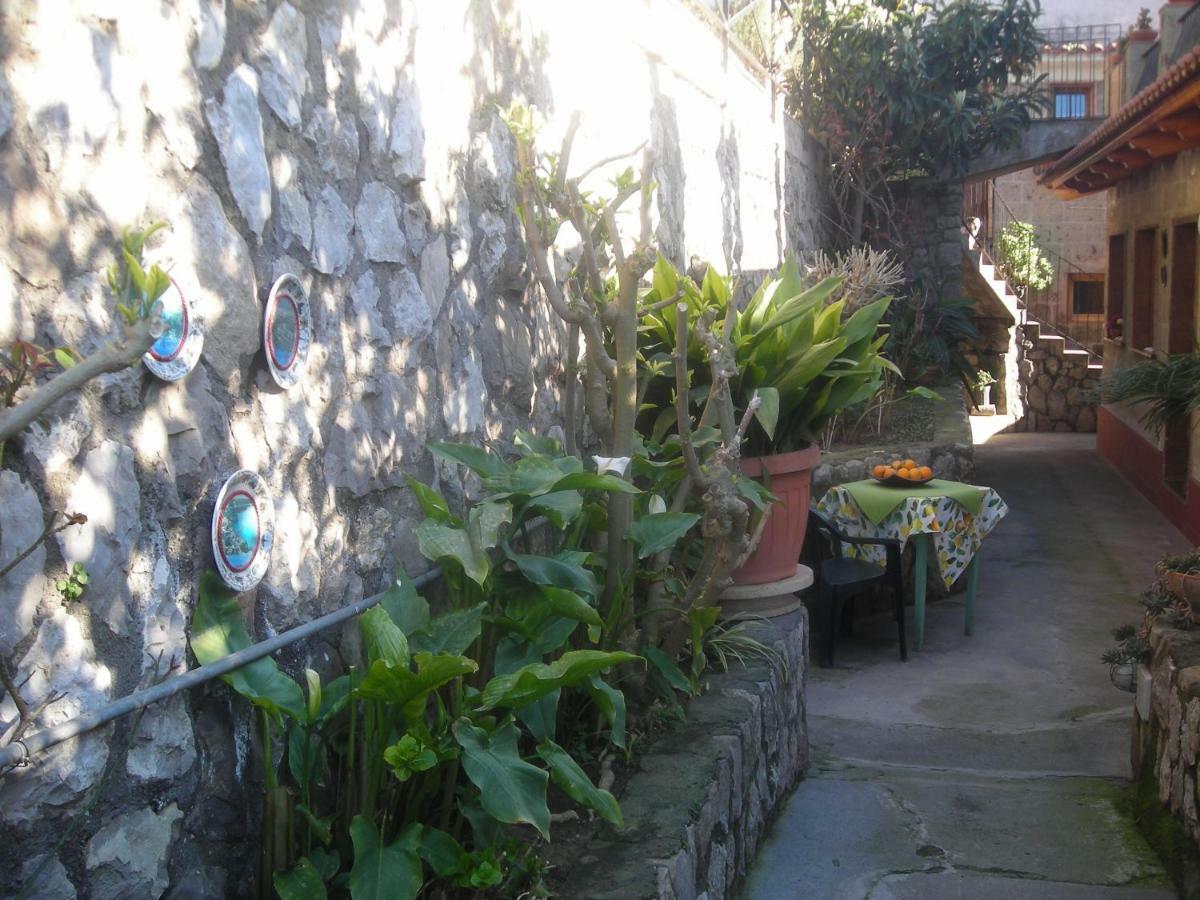 B&B L'Arcobaleno Sorrento Ngoại thất bức ảnh
