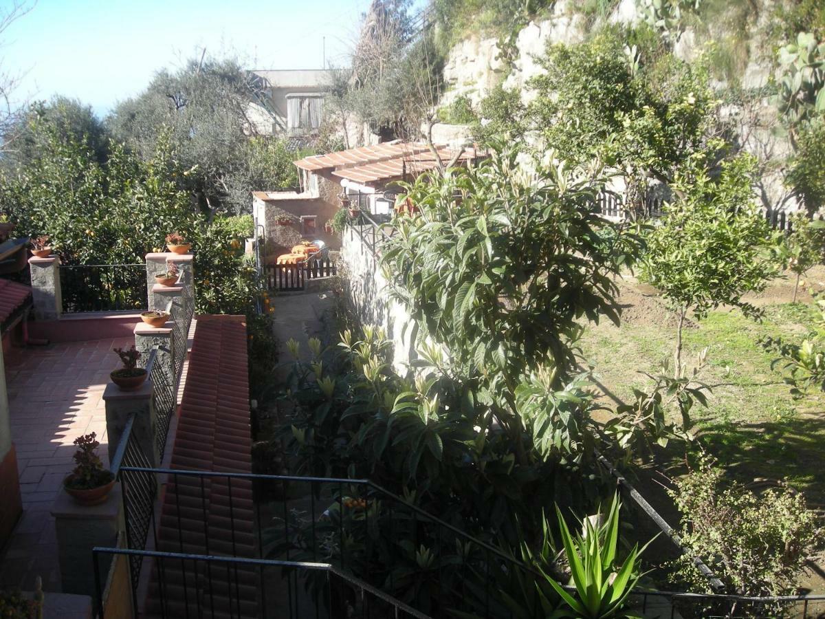 B&B L'Arcobaleno Sorrento Ngoại thất bức ảnh