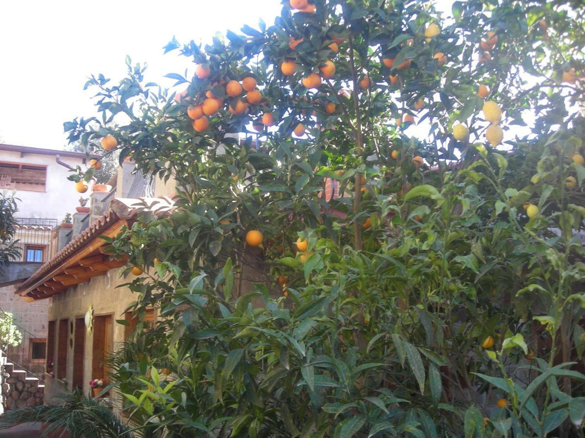 B&B L'Arcobaleno Sorrento Ngoại thất bức ảnh