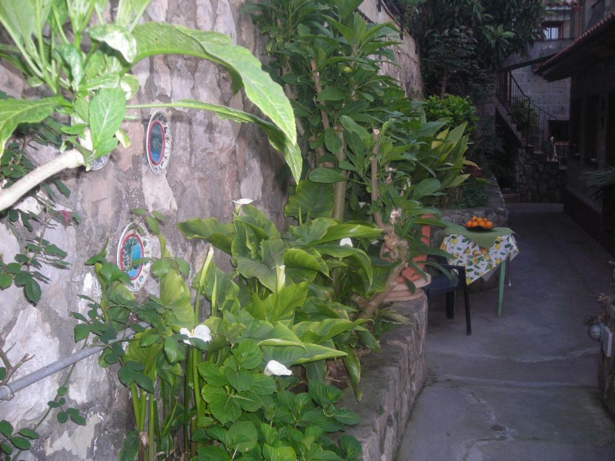 B&B L'Arcobaleno Sorrento Ngoại thất bức ảnh