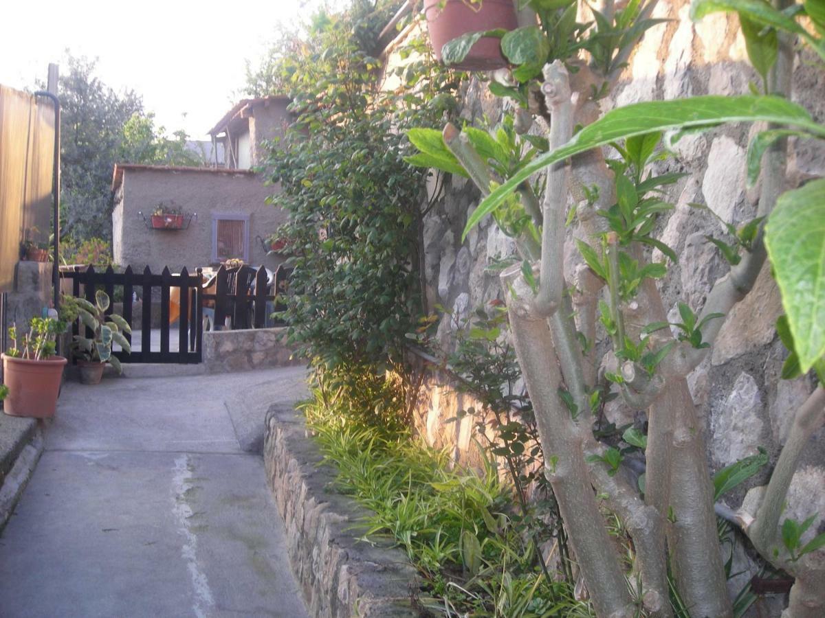 B&B L'Arcobaleno Sorrento Ngoại thất bức ảnh
