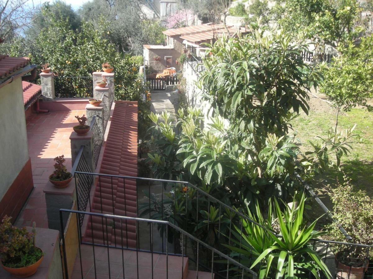 B&B L'Arcobaleno Sorrento Ngoại thất bức ảnh